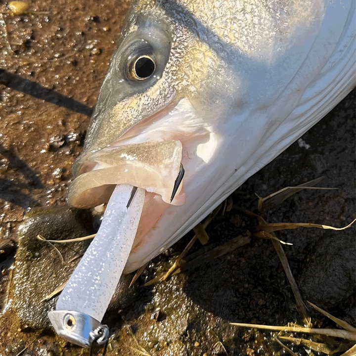 Lures/Jigs