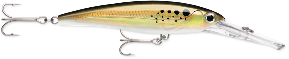 Rapala X-Rap Magnum 7" Diverbait-40'/12m