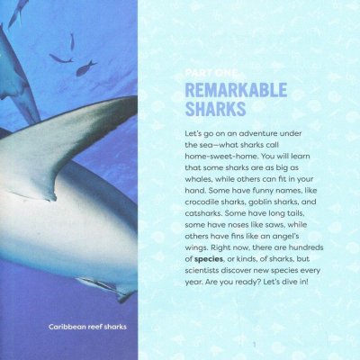 Junior Scientists-Sharks for Kids Book