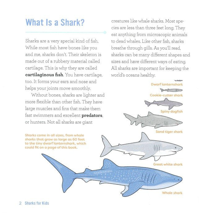 Junior Scientists-Sharks for Kids Book