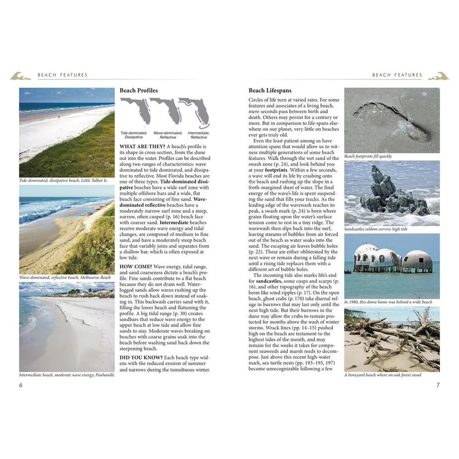 Florida's Living Beaches Revised Book