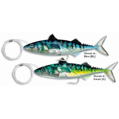 Williamson Live Mackerel