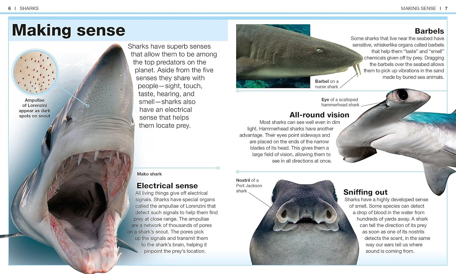 Pocket Genius: Sharks: Facts at Your Fingertips