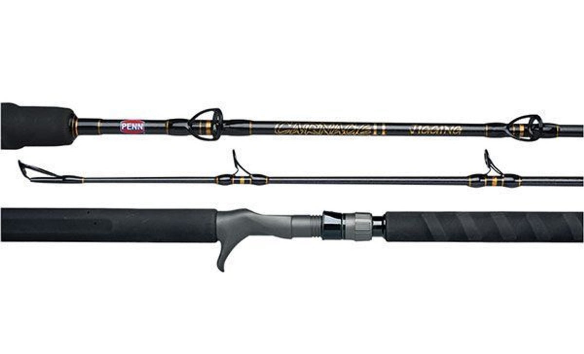 penn carnage ii jigging spinning fishing rod Penn Bluewater Carnage Rod