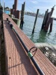 Custom Bull Bay Hogfish Rod