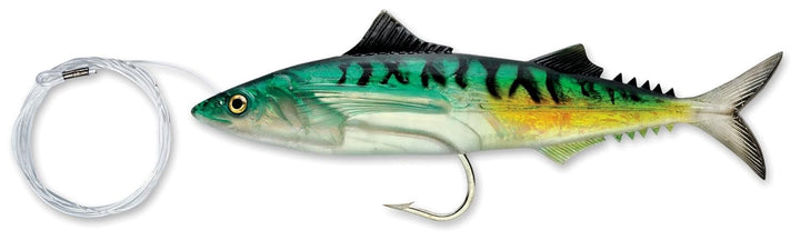 Williamson Live Mackerel