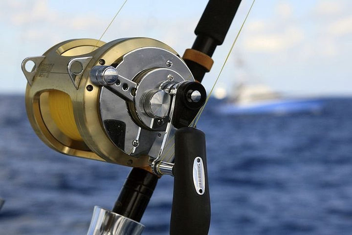 Reels
