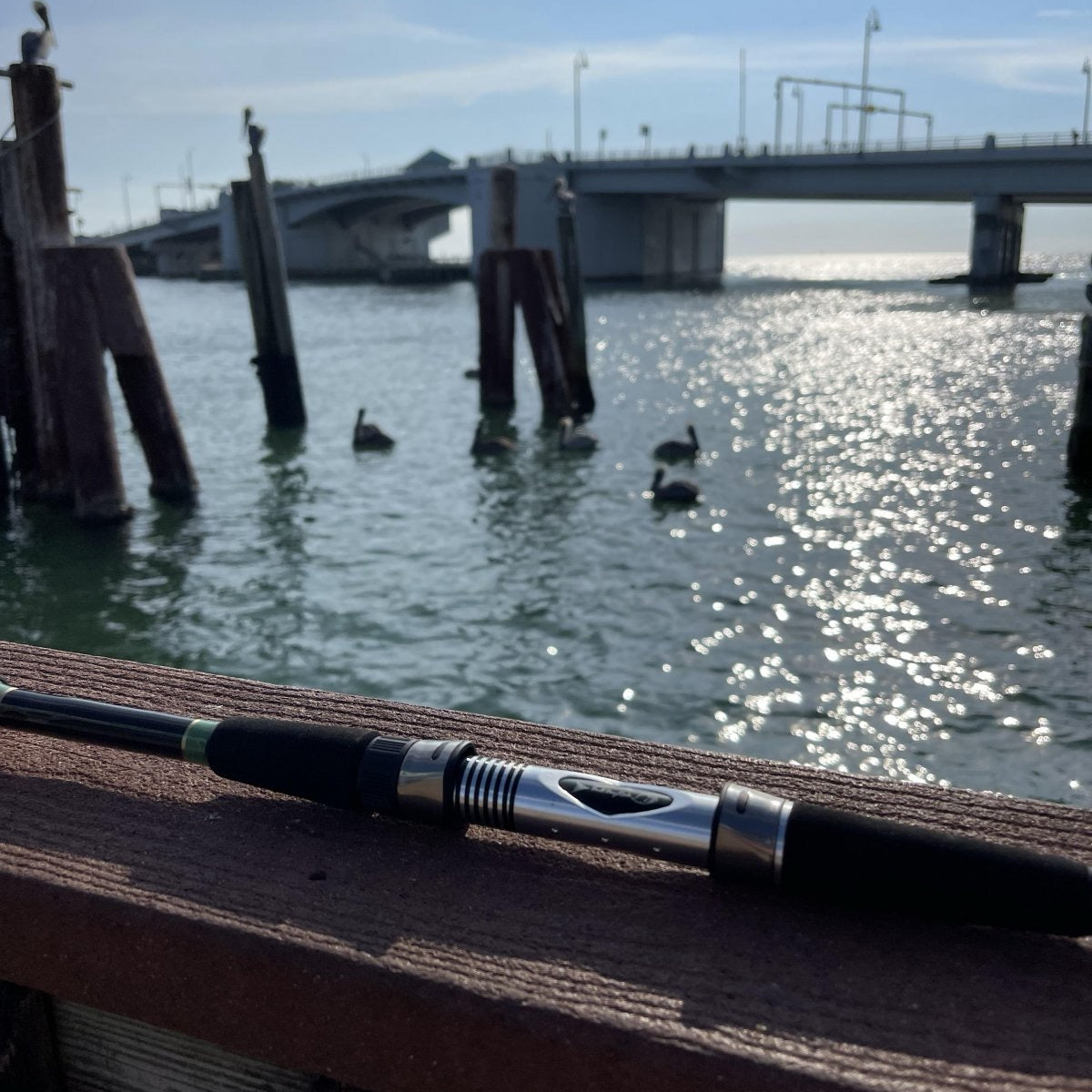 Custom Bull Bay Hogfish Rod – Hubbard's Marina