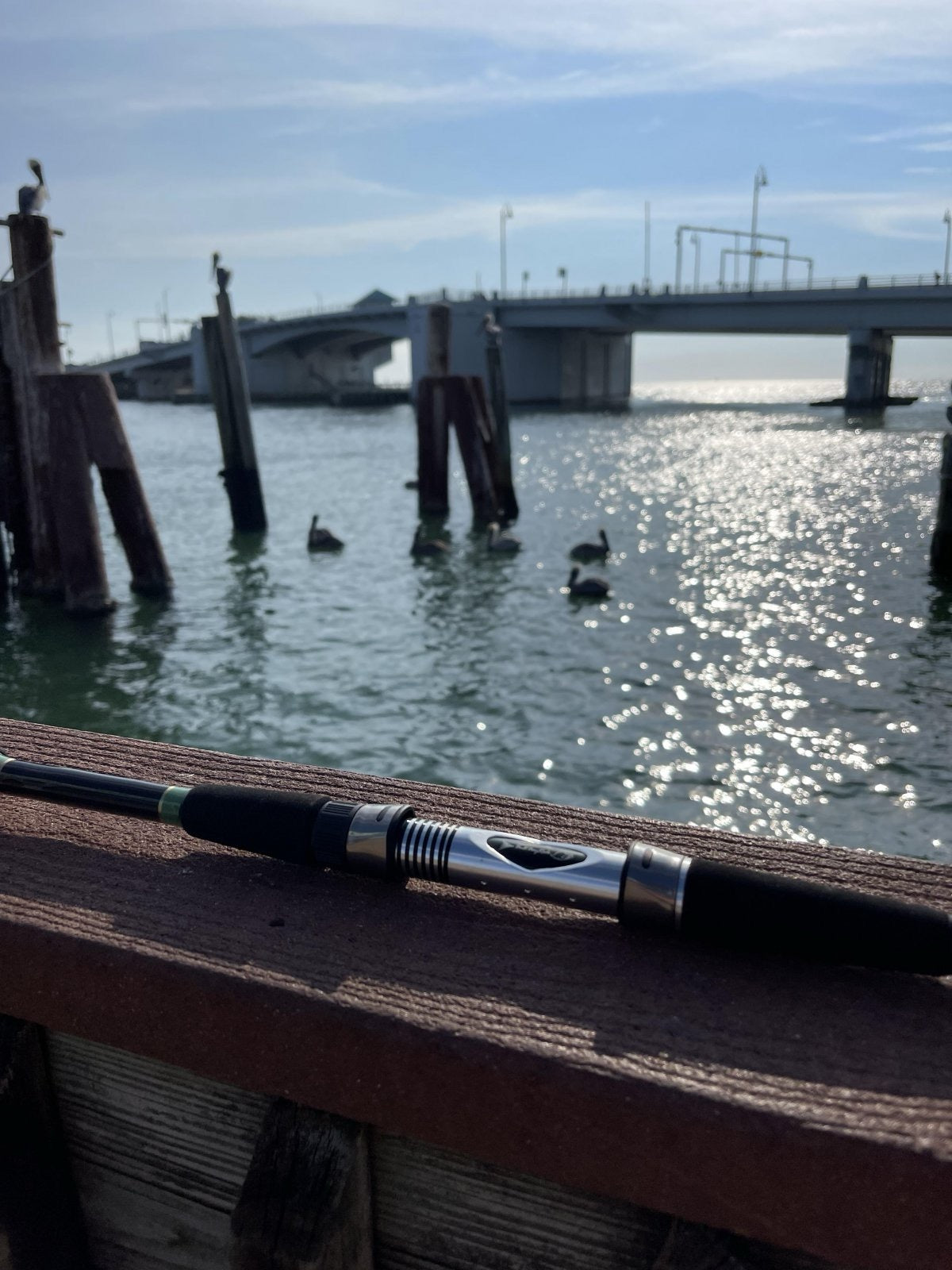 Custom Bull Bay Hogfish Rod