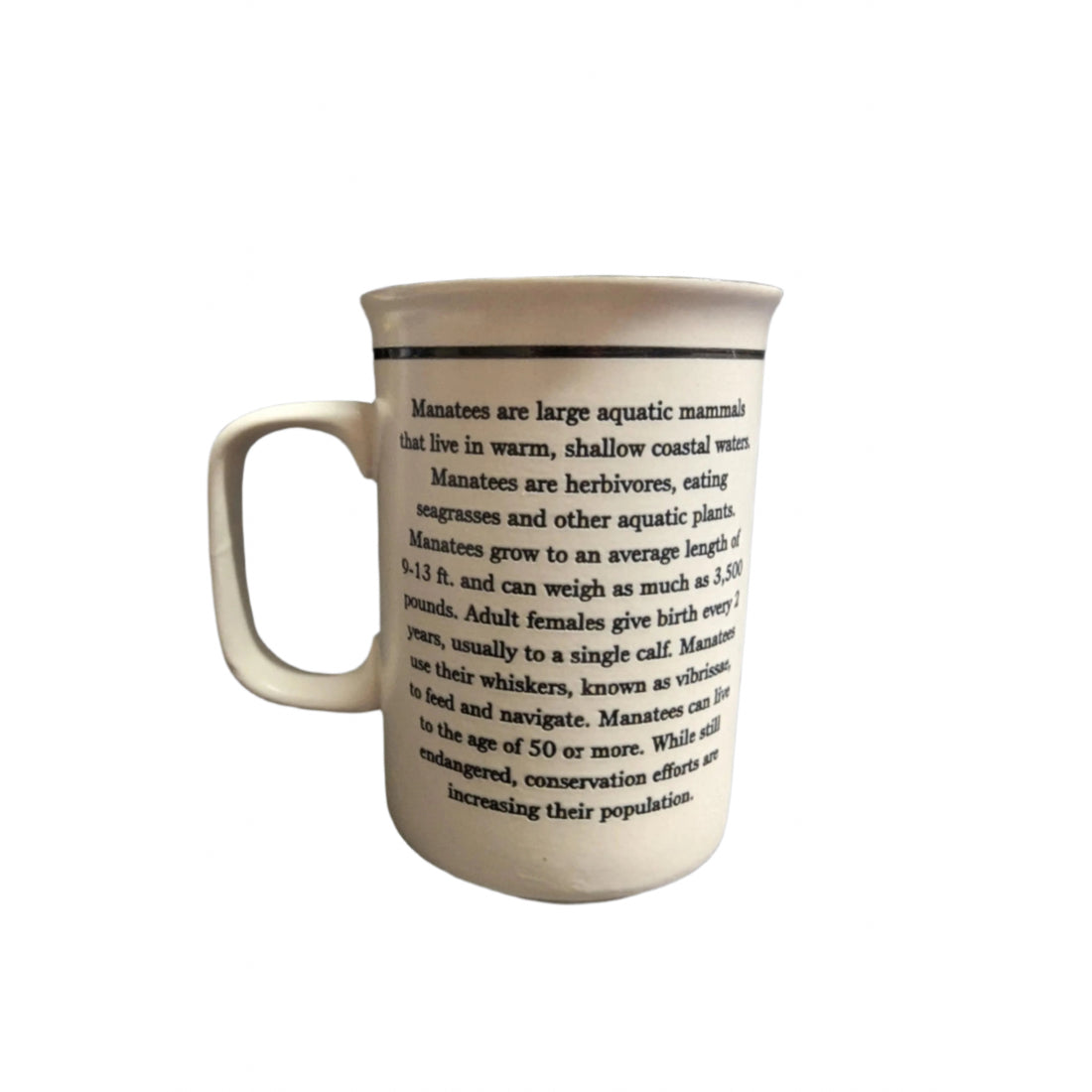 Mugs