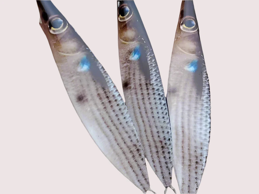 NLO Fishing Scoop