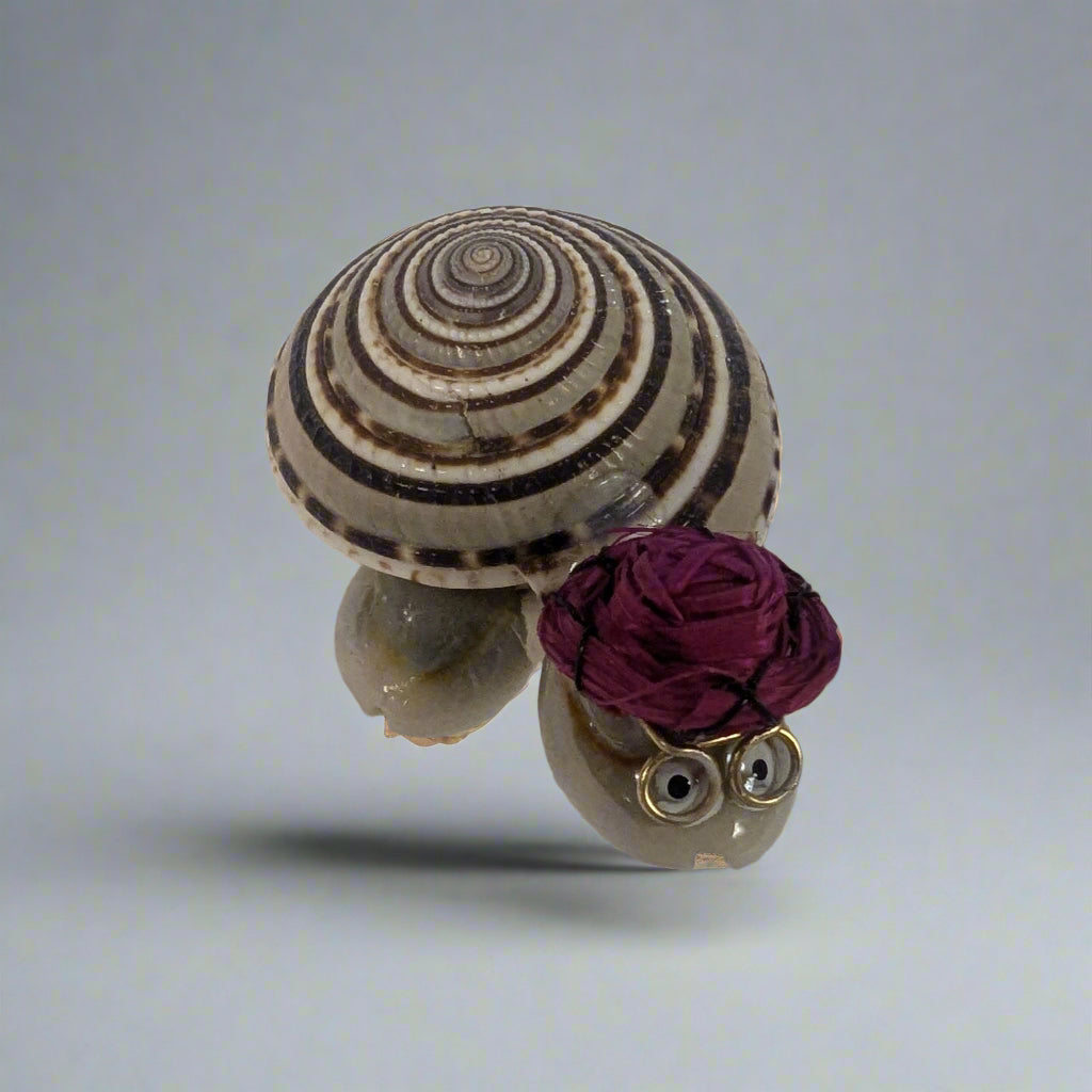 Shell Turtles w/Hats