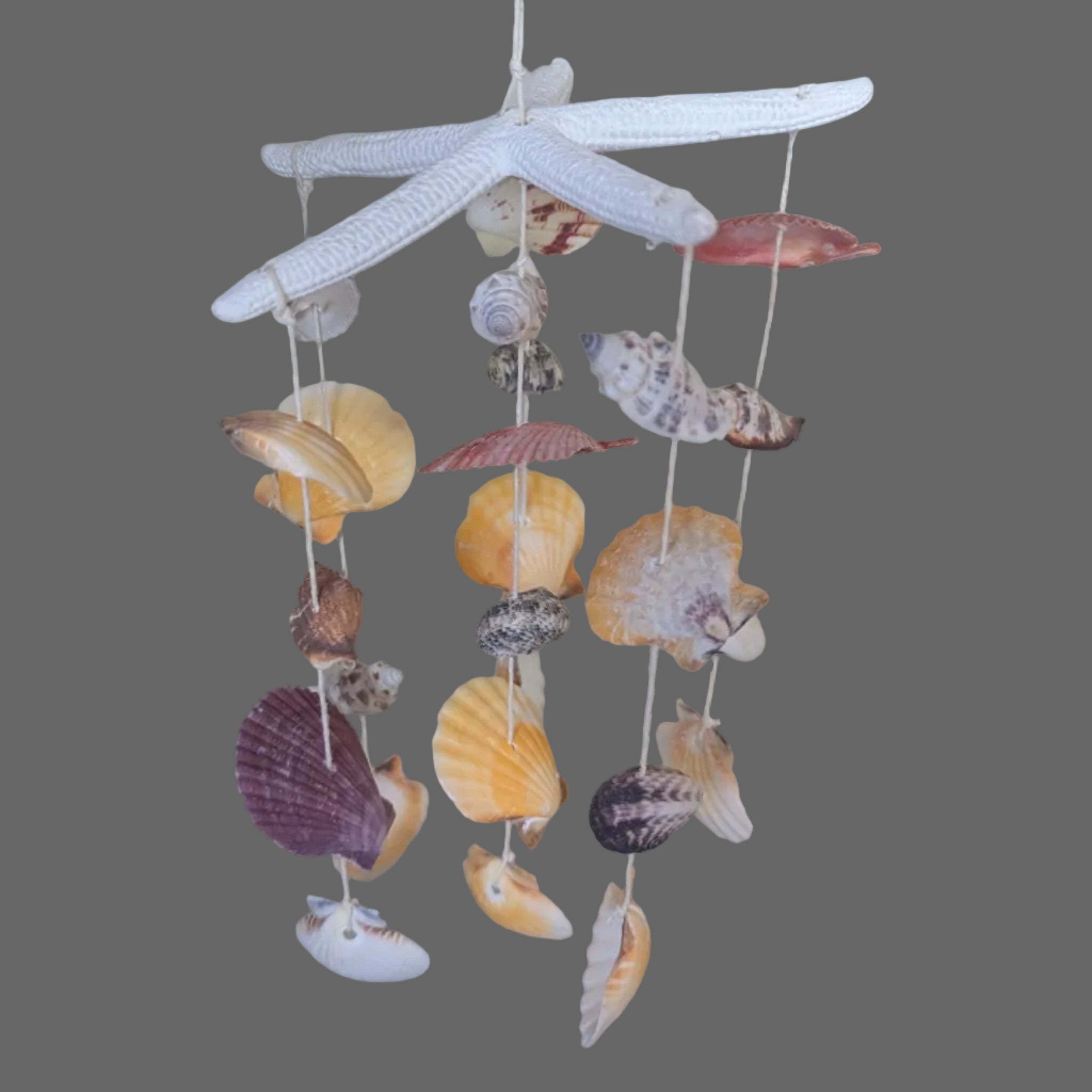 Shell Wind Chimes/ Starfish Garland