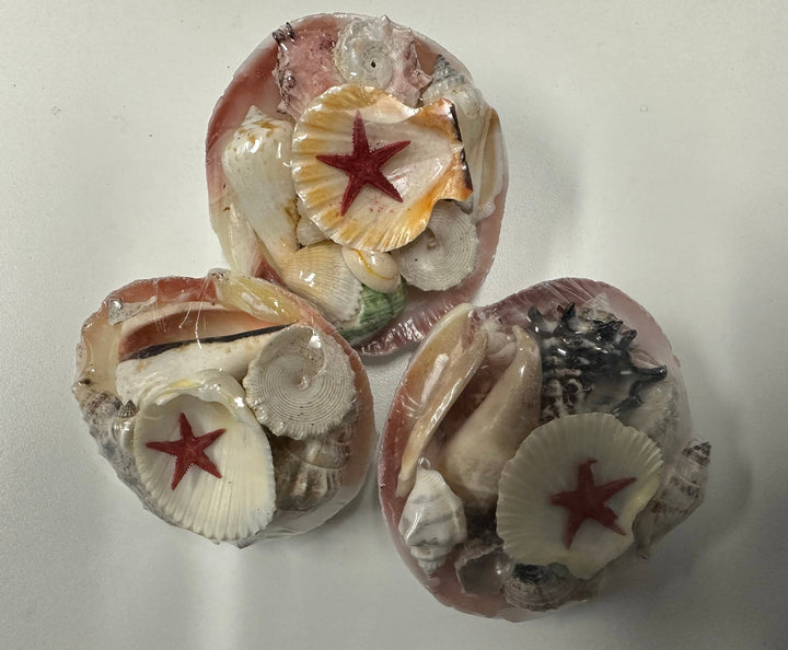Tiger Clam Shell Pack