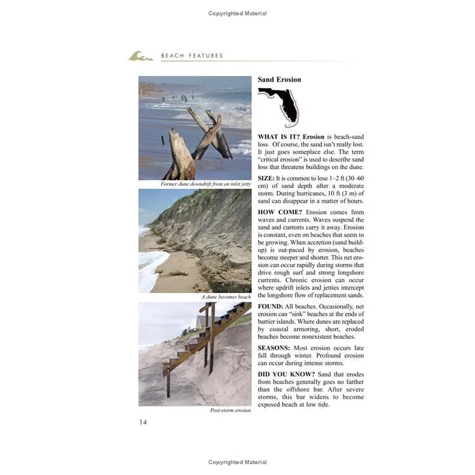 Florida's Living Beaches Revised Book