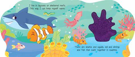 Coral Days with Clownfish