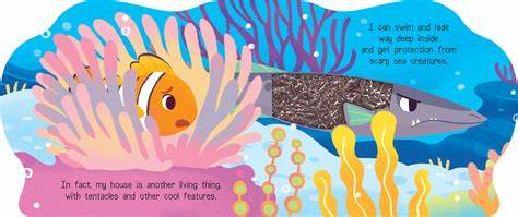 Coral Days with Clownfish